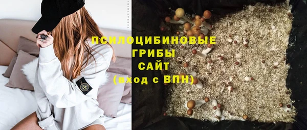 МДПВ Новозыбков