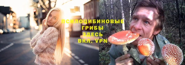прущая мука Алексин